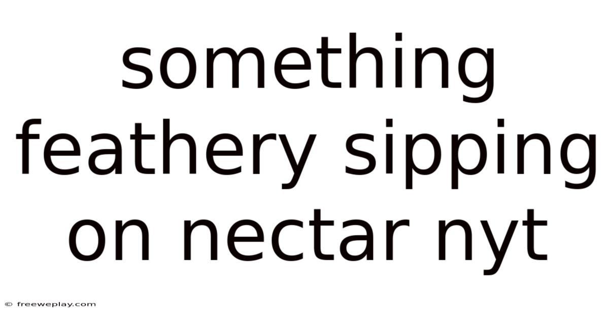 Something Feathery Sipping On Nectar Nyt