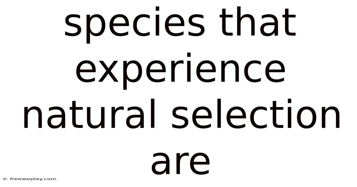 Species That Experience Natural Selection Are