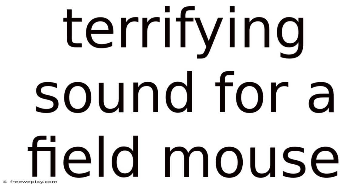 Terrifying Sound For A Field Mouse