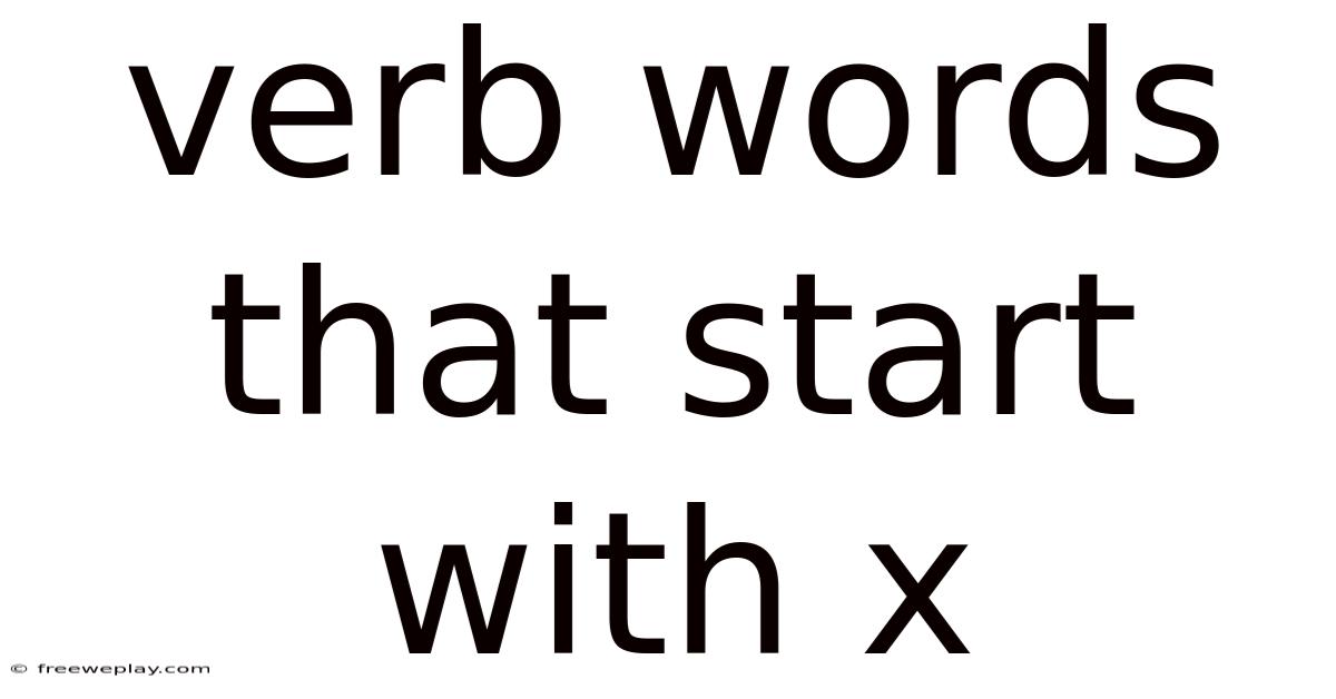 Verb Words That Start With X