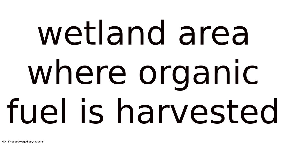 Wetland Area Where Organic Fuel Is Harvested
