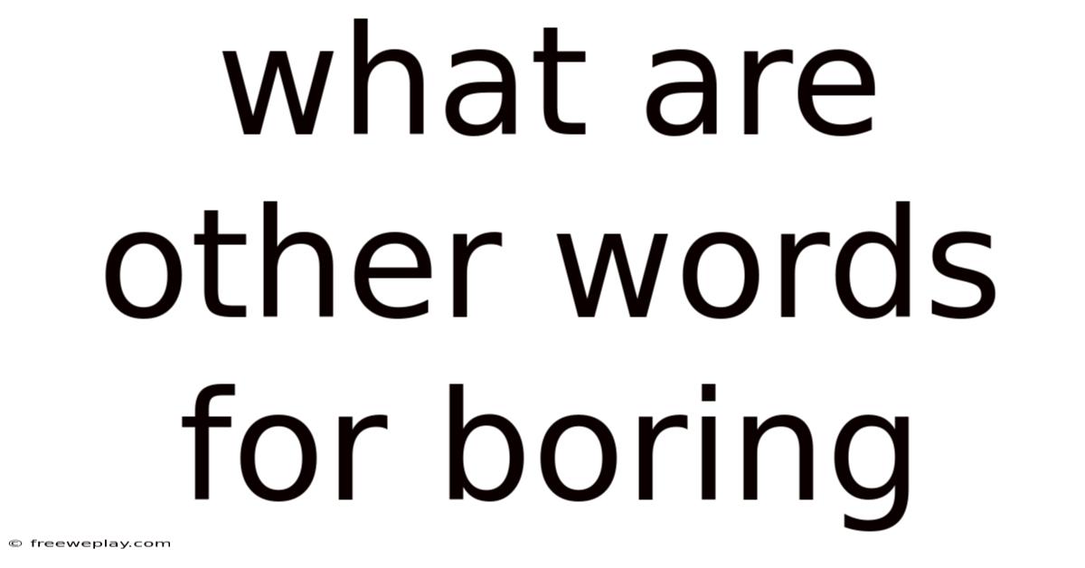 What Are Other Words For Boring