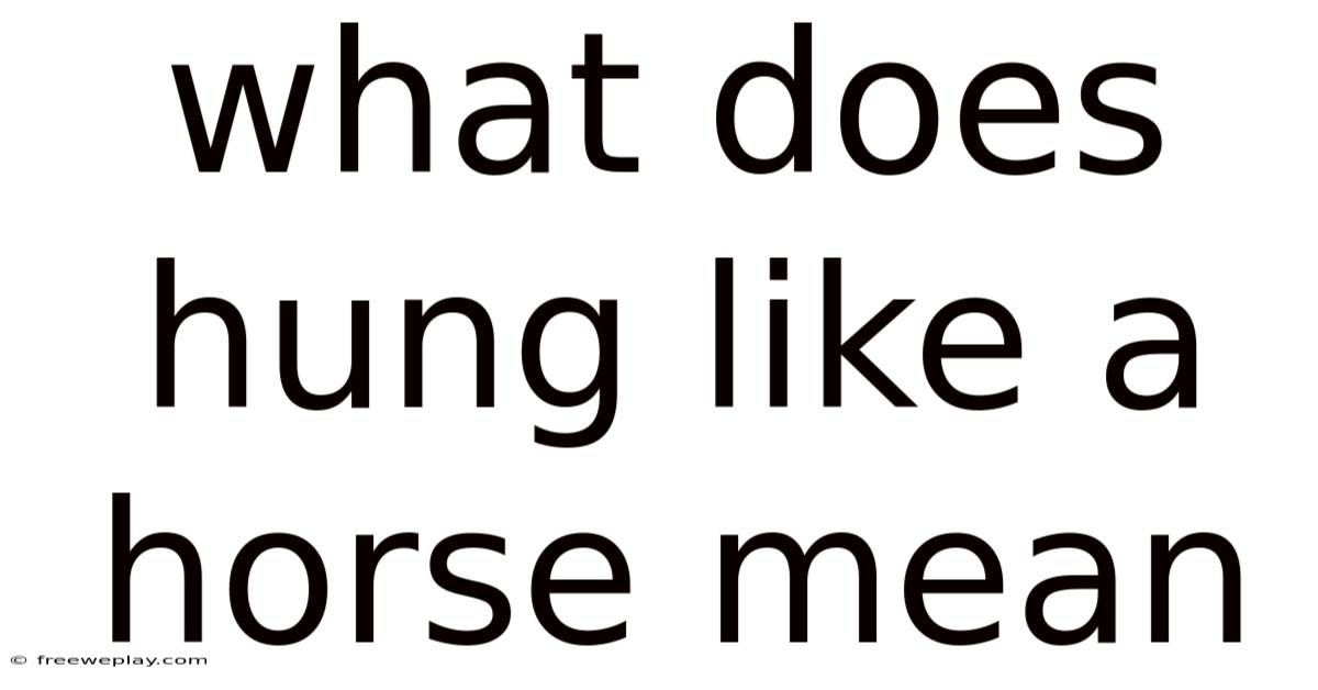 What Does Hung Like A Horse Mean