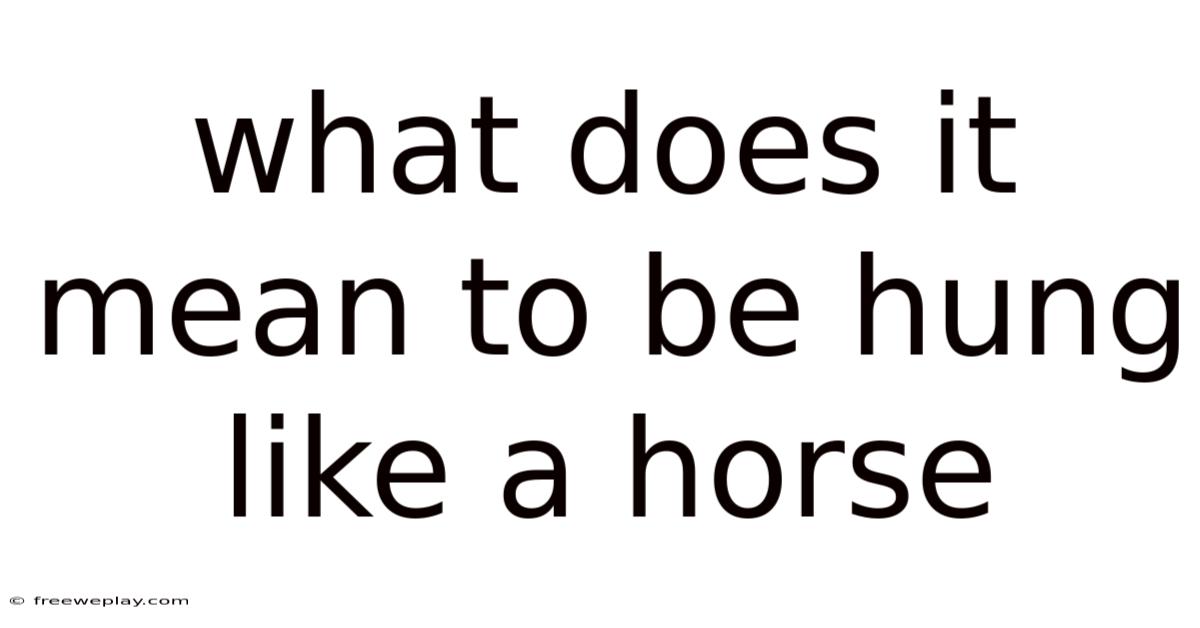 What Does It Mean To Be Hung Like A Horse
