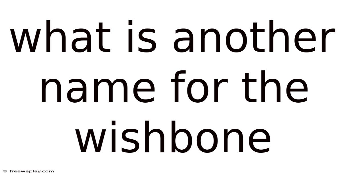 What Is Another Name For The Wishbone