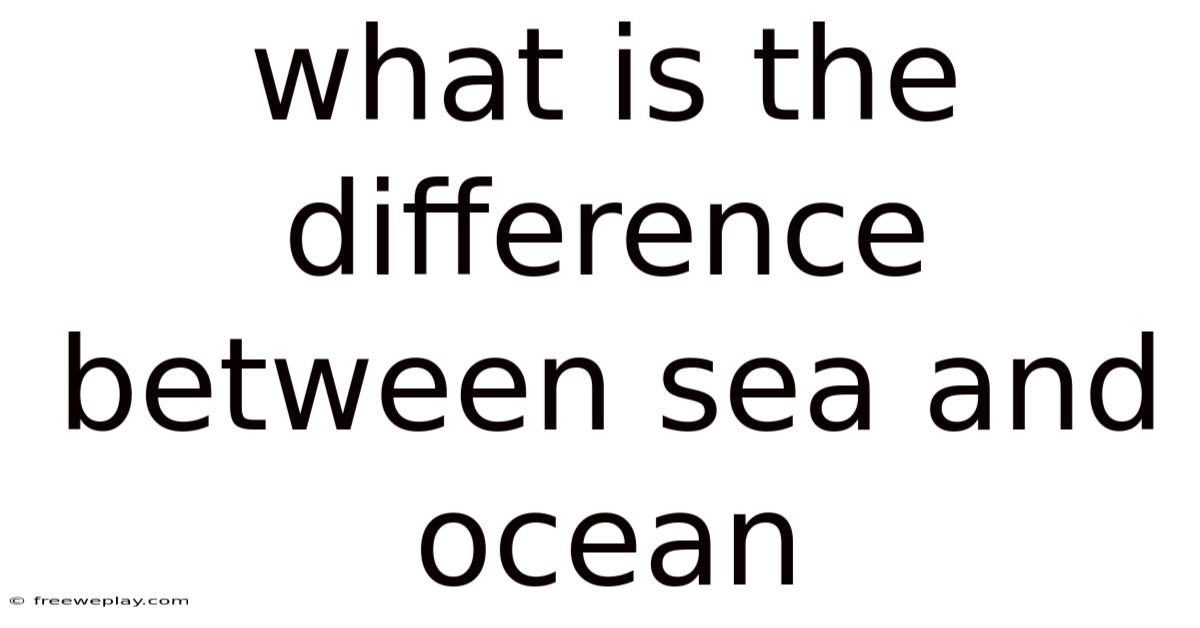 What Is The Difference Between Sea And Ocean