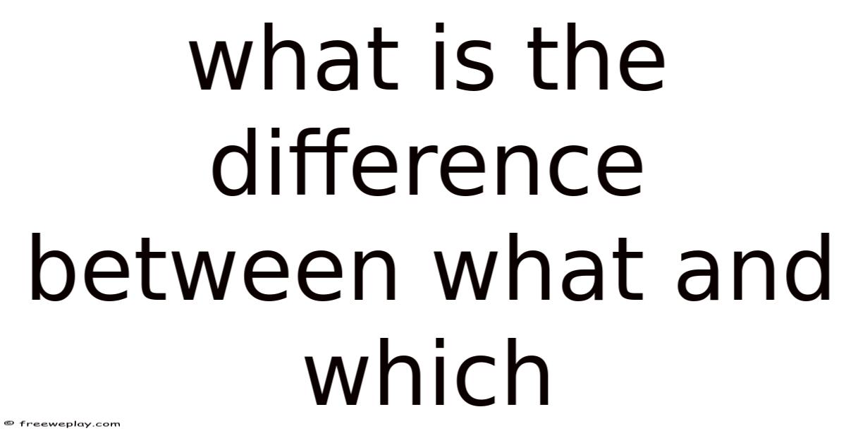 What Is The Difference Between What And Which