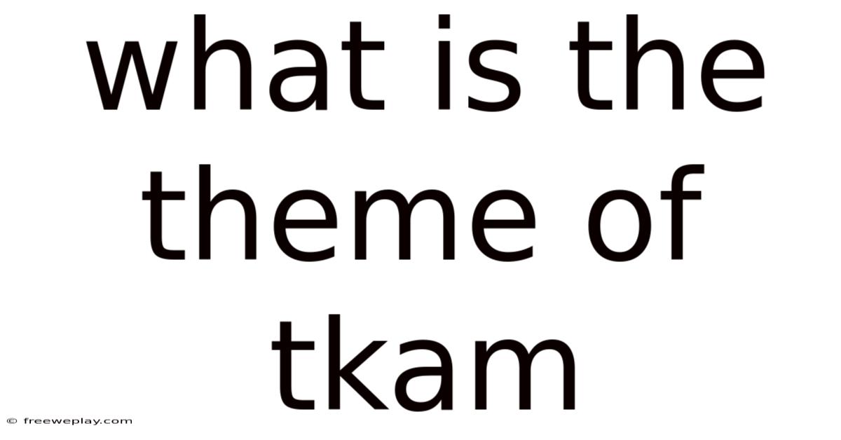 What Is The Theme Of Tkam