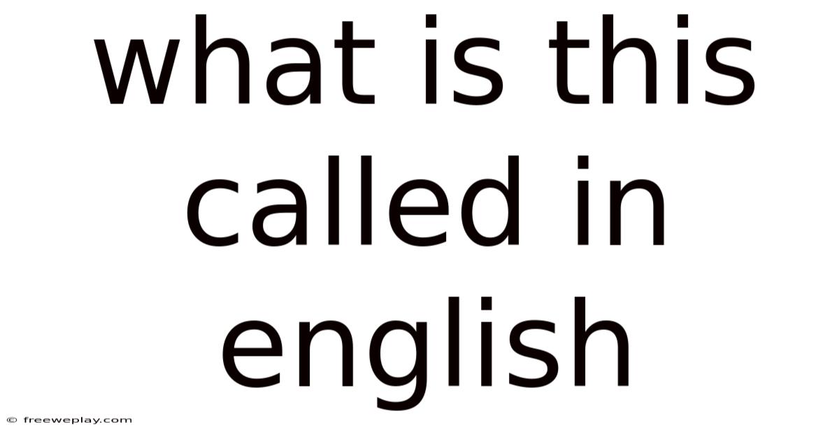 What Is This Called In English