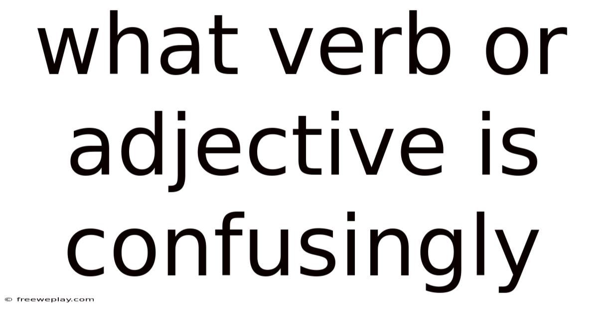 What Verb Or Adjective Is Confusingly