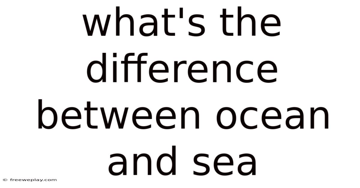 What's The Difference Between Ocean And Sea