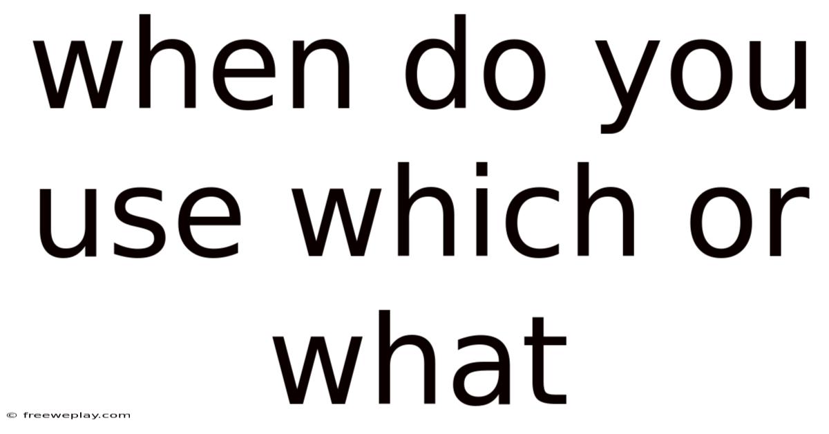 When Do You Use Which Or What