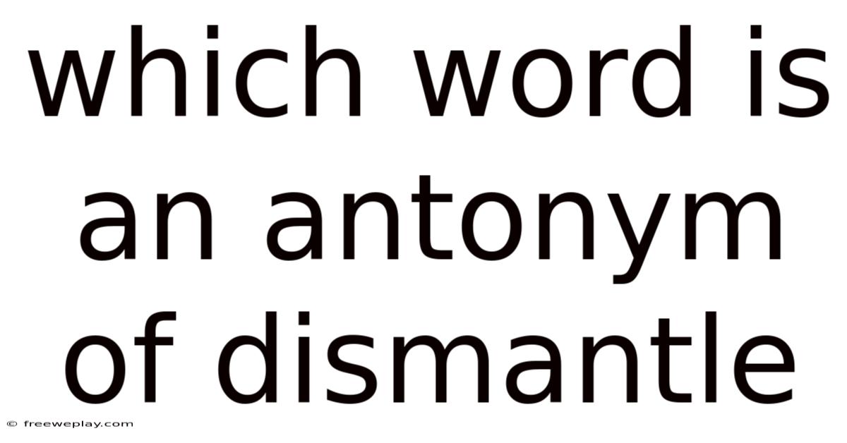 Which Word Is An Antonym Of Dismantle