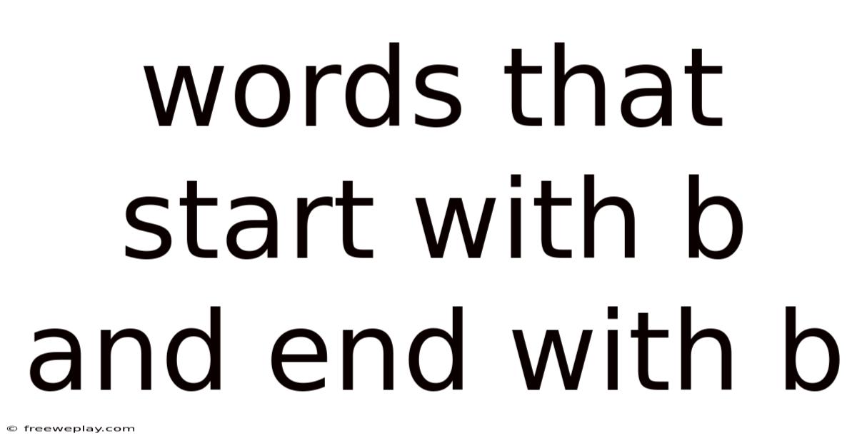 Words That Start With B And End With B