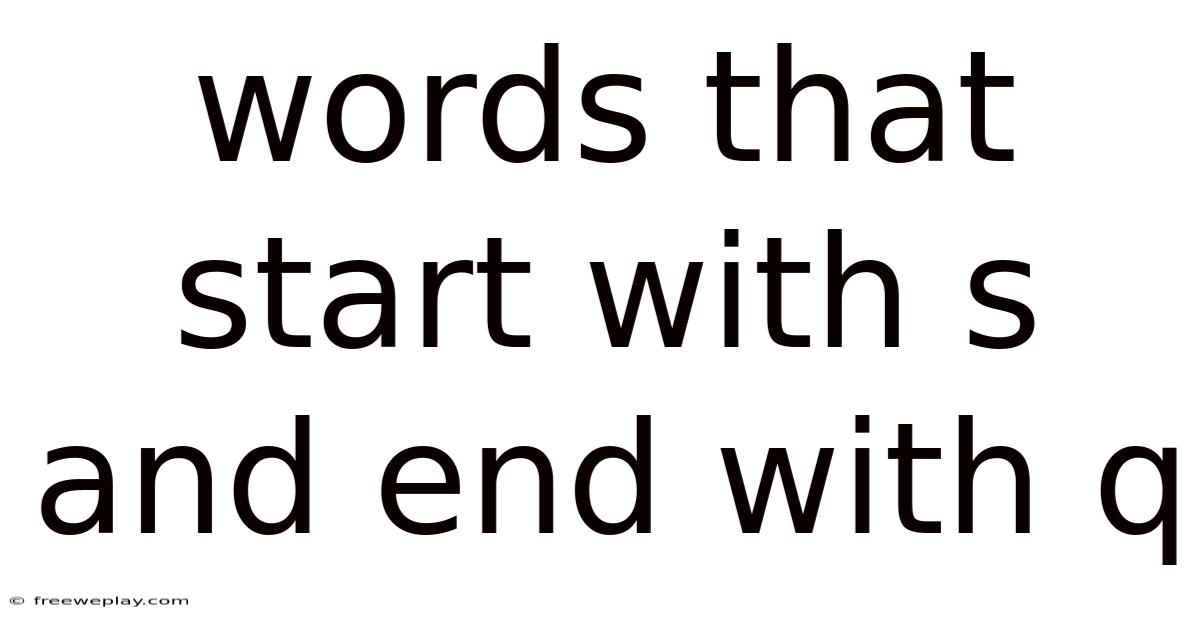 Words That Start With S And End With Q