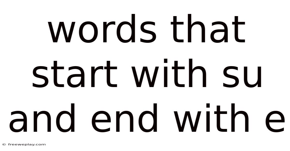 Words That Start With Su And End With E