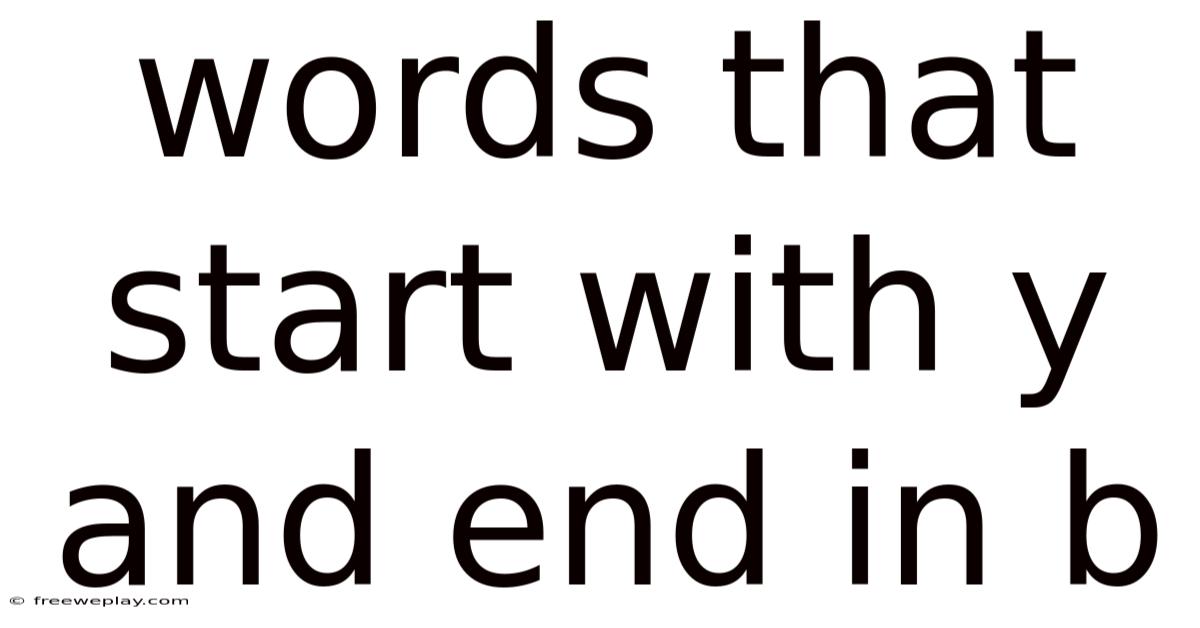Words That Start With Y And End In B
