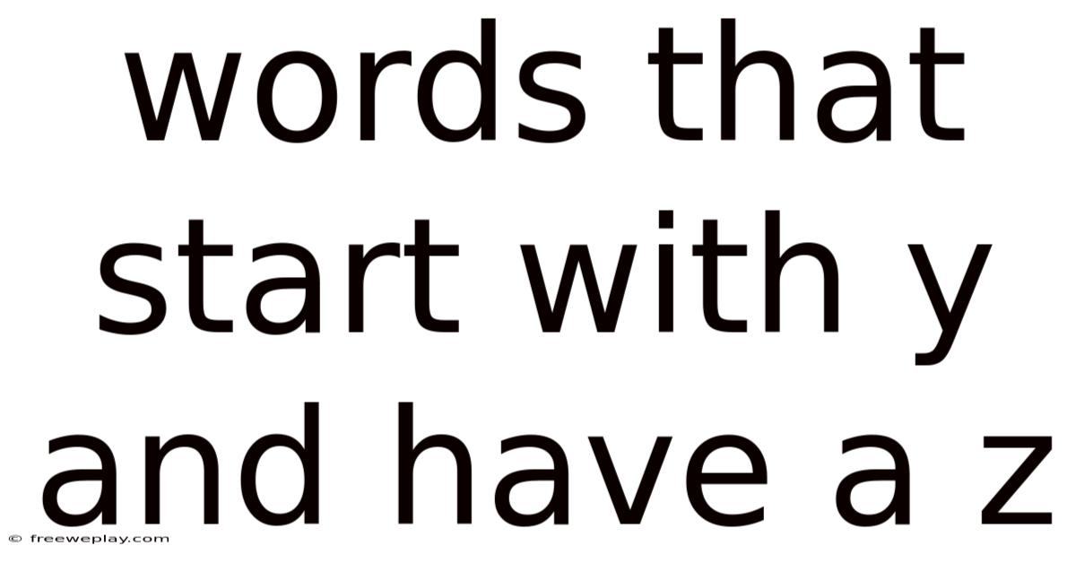 Words That Start With Y And Have A Z